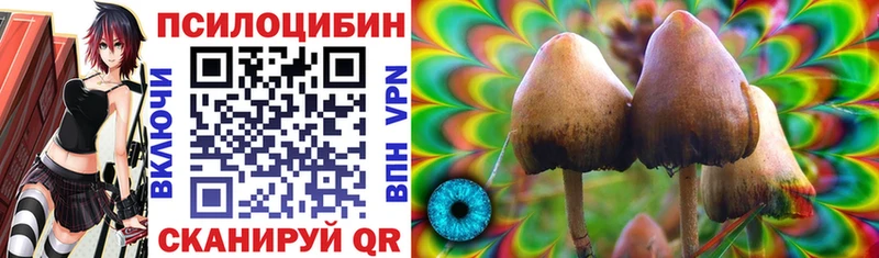 Псилоцибиновые грибы Magic Shrooms Братск