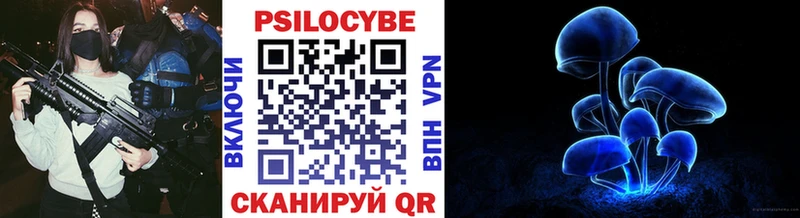 kraken вход  Братск  Псилоцибиновые грибы ЛСД 